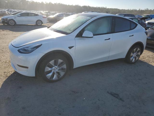 Image 1 of 2023 TESLA MODEL Y  2023 with VIN 7SAYGDEE9PA093669
