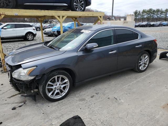 2010 NISSAN MAXIMA S 2010 image