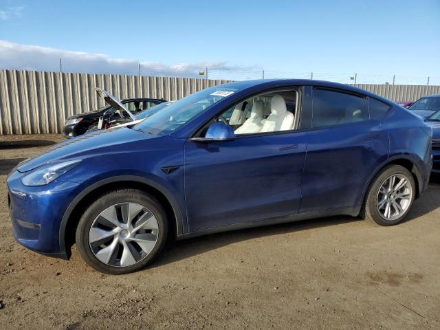 2023 TESLA MODEL Y  2023 image