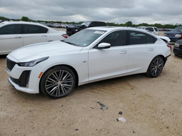 Obraz 2024 CADILLAC CT5 PREMIUM LUXURY 2024