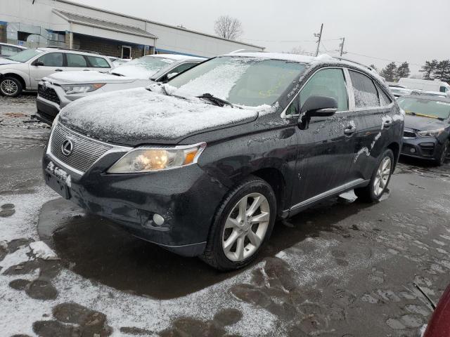 2010 LEXUS RX 350 2010 image