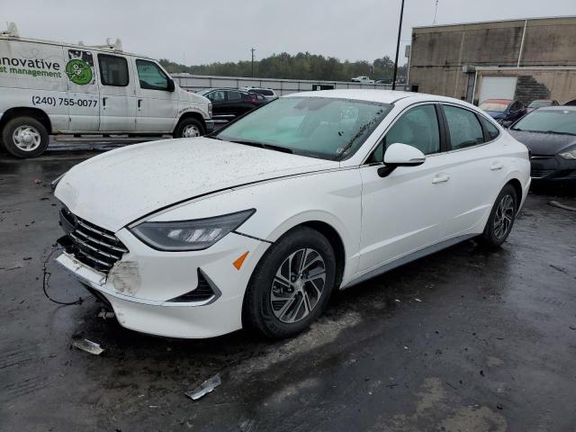 2021 HYUNDAI SONATA HYBRID 2021 image