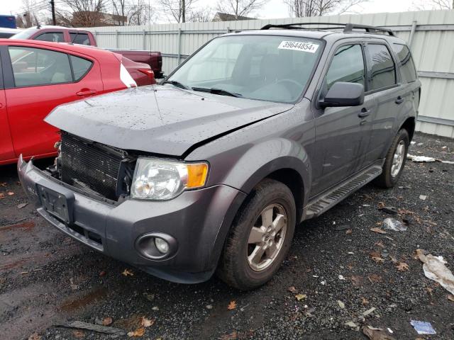 2011 FORD ESCAPE XLT 2011 image