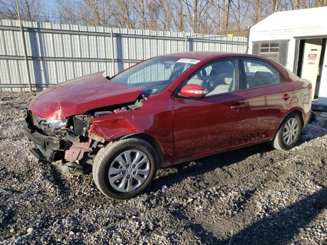Obraz 2010 KIA FORTE EX 2010