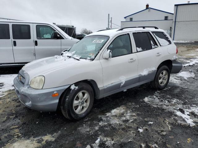 2005 HYUNDAI SANTA FE GLS 2005 image