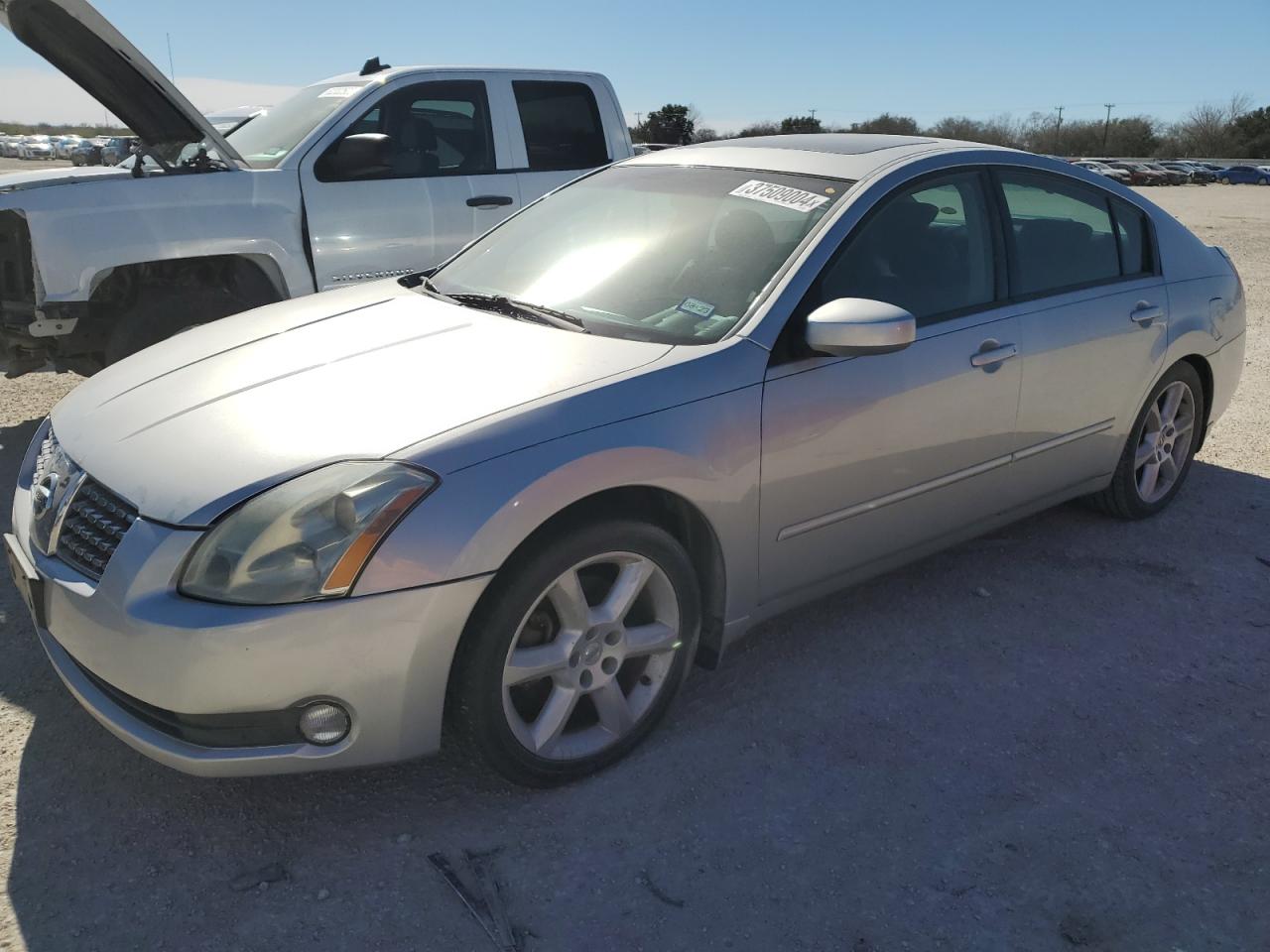 Изображение 1 2006 NISSAN MAXIMA SE 2006 с VIN 1N4BA41E76C862779