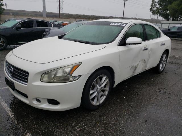 Obraz 2009 NISSAN MAXIMA S 2009