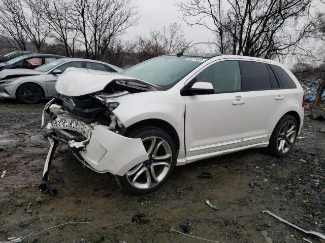 Obraz 2011 FORD EDGE SPORT 2011