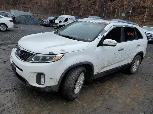 Изображение 2014 KIA SORENTO LX 2014