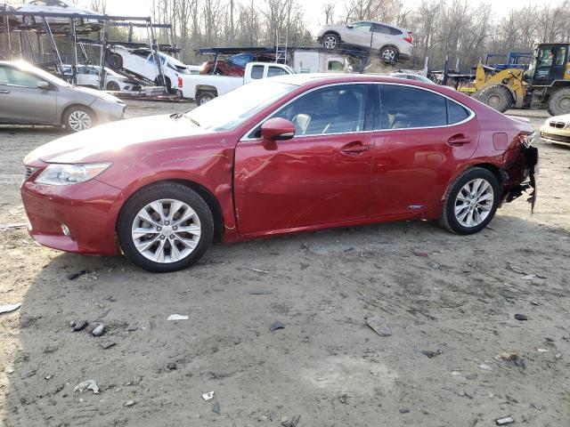 Obraz 2014 LEXUS ES 300H 2014