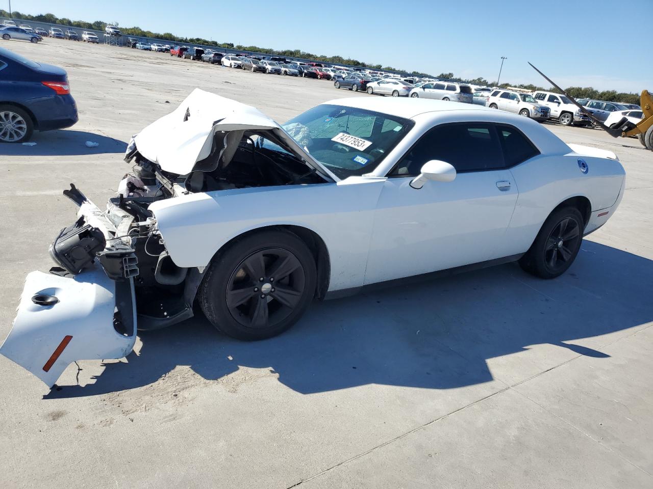 Obraz 2016 DODGE CHALLENGER SXT 2016