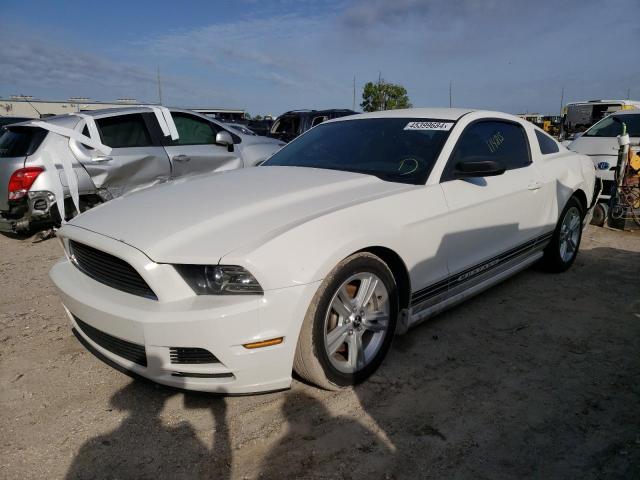 2013 FORD MUSTANG  2013 image
