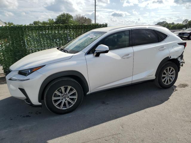 Obraz 2018 LEXUS NX 300H 2018