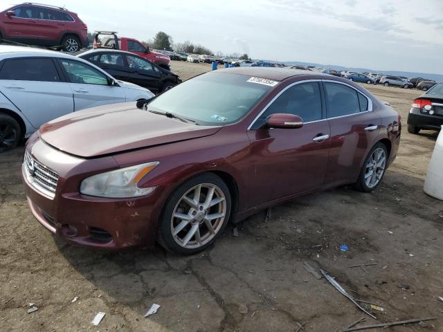 2010 NISSAN MAXIMA S 2010 image