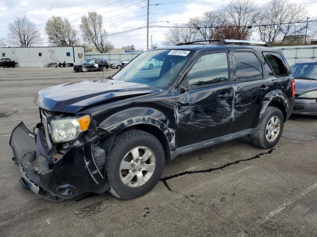 2010 FORD ESCAPE LIMITED 2010 image