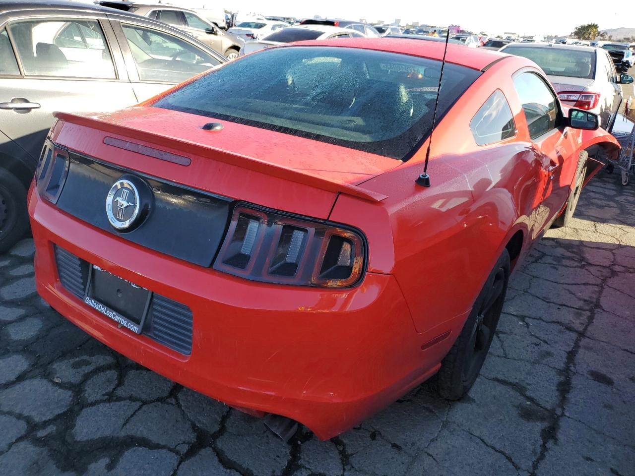Obraz 3 z 2014 FORD MUSTANG  2014 z VIN 1ZVBP8AM9E5201178