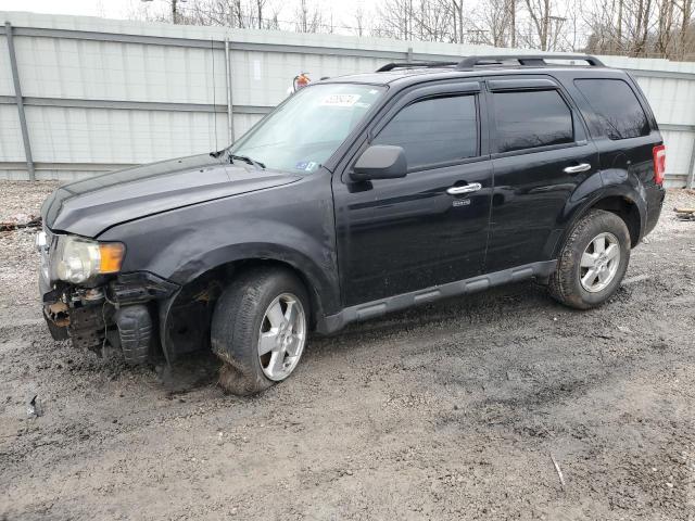 2010 FORD ESCAPE XLT 2010 image