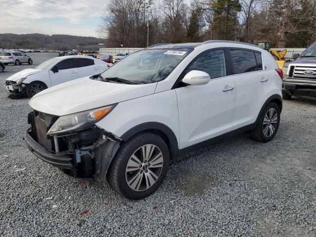 Image 1 of 2016 KIA SPORTAGE EX 2016 with VIN KNDPC3AC2G7826107