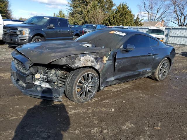 2016 FORD MUSTANG  2016 image