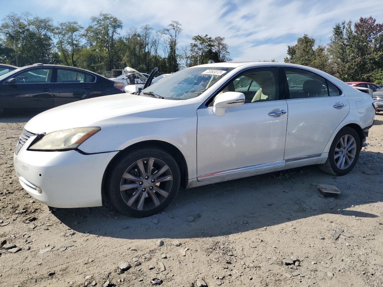 2012 LEXUS ES 350 2012 image
