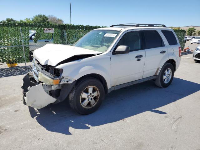 Obraz 2011 FORD ESCAPE XLT 2011
