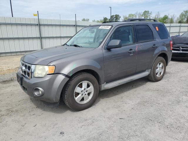 Obraz 2009 FORD ESCAPE XLT 2009