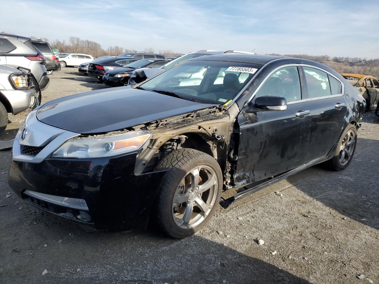 Изображение 2010 ACURA TL  2010