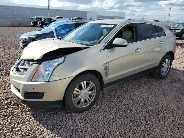 Obraz 2011 CADILLAC SRX LUXURY COLLECTION 2011