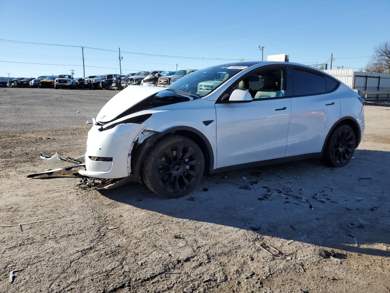 Obraz 2022 TESLA MODEL Y  2022