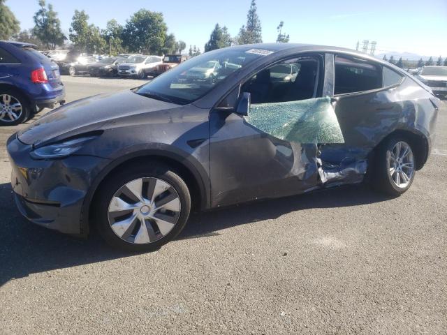 2023 TESLA MODEL Y  2023 image