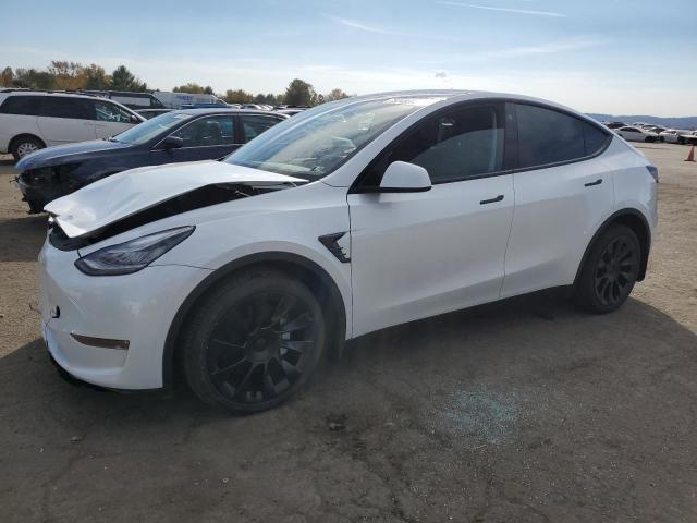 Obraz 2023 TESLA MODEL Y  2023