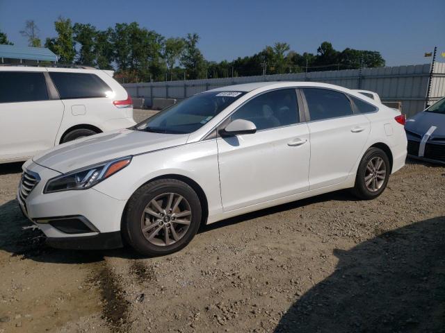Obraz 2016 HYUNDAI SONATA SE 2016