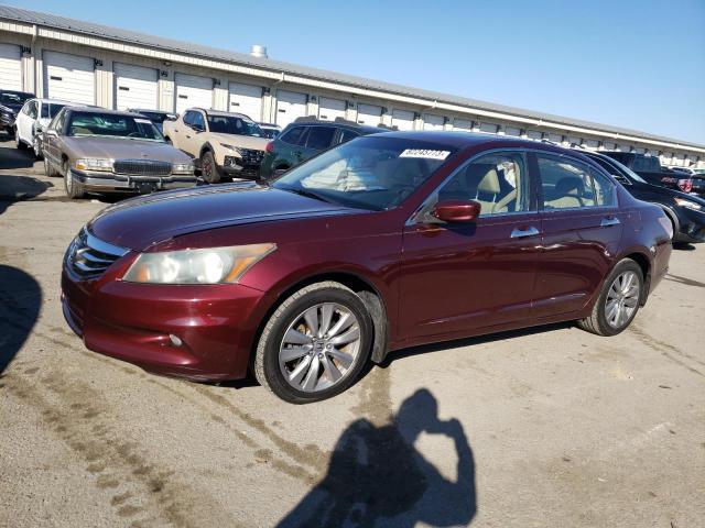 Obraz 2011 HONDA ACCORD EXL 2011