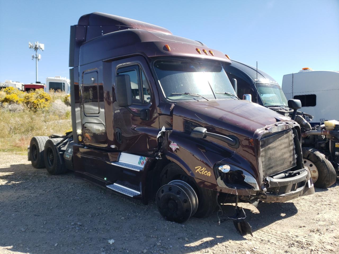 Obraz 2019 FREIGHTLINER CASCADIA 113  2019