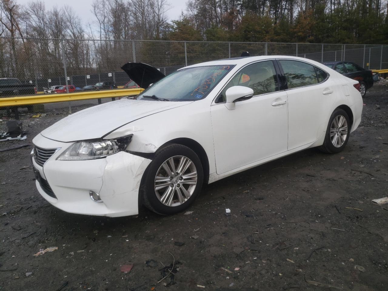 2013 LEXUS ES 350 2013 image