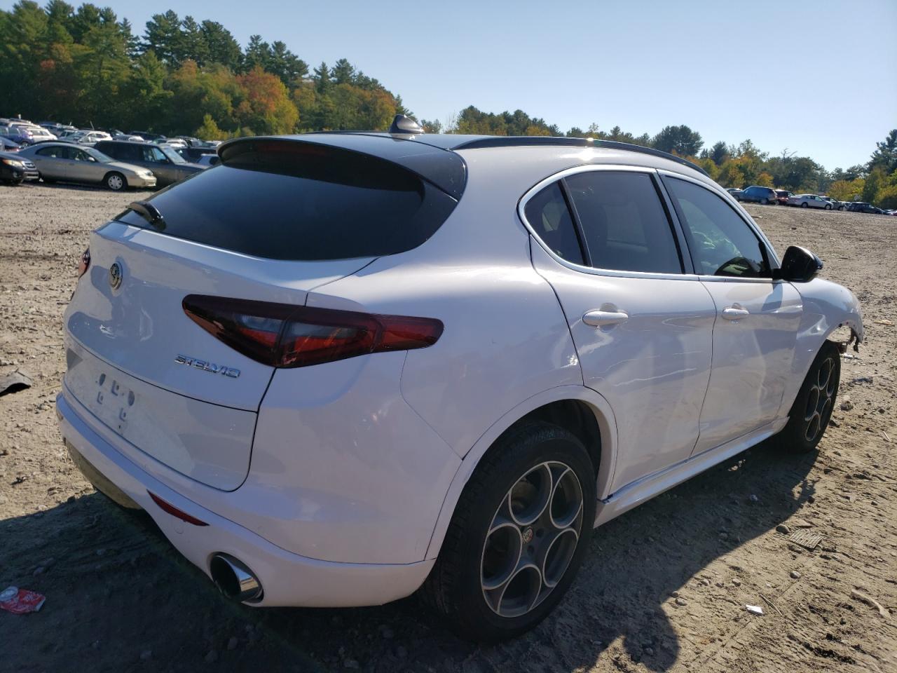 Obraz 3 z 2018 ALFA ROMEO STELVIO  2018 z VIN ZASFAKAN7J7B68263