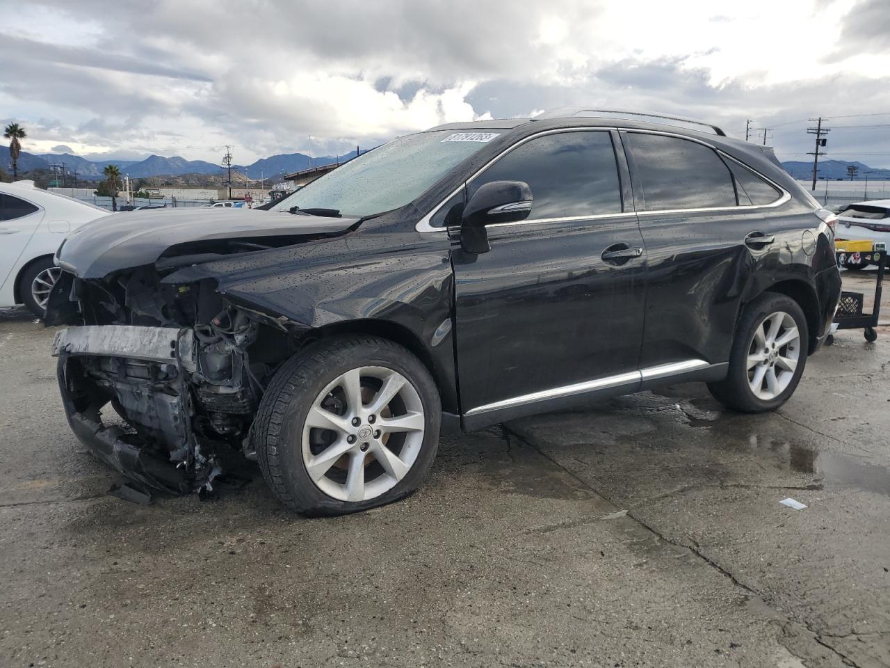 2010 LEXUS RX 350 2010 image