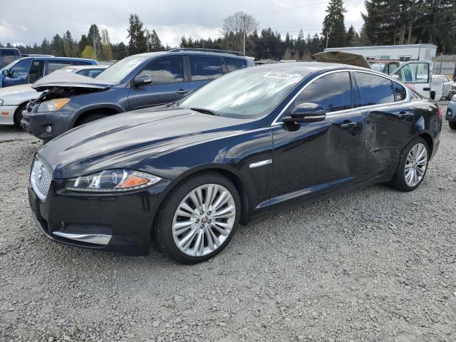 2013 JAGUAR XF  2013 image