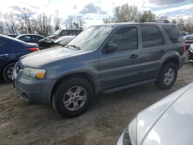 2005 FORD ESCAPE XLT 2005 image