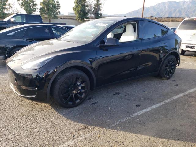 Obraz 2023 TESLA MODEL Y  2023