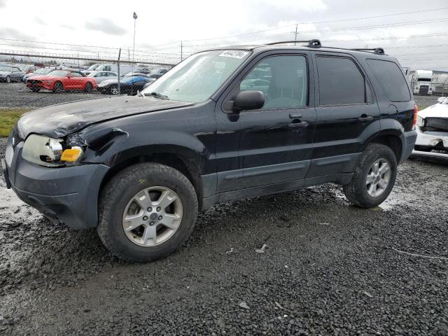 2005 FORD ESCAPE XLT 2005 image