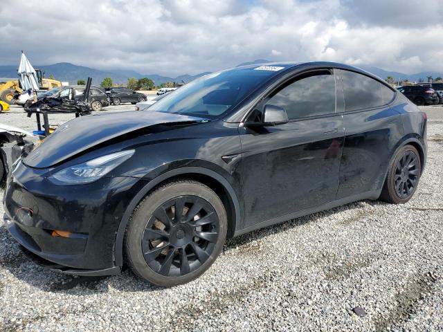 2021 TESLA MODEL Y  2021 image