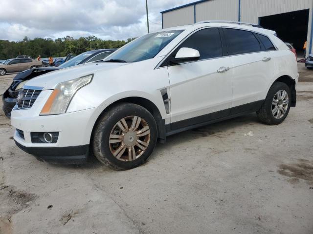 Image 1 of 2012 CADILLAC SRX PREMIUM COLLECTION 2012 with VIN 3GYFNCE35CS659750