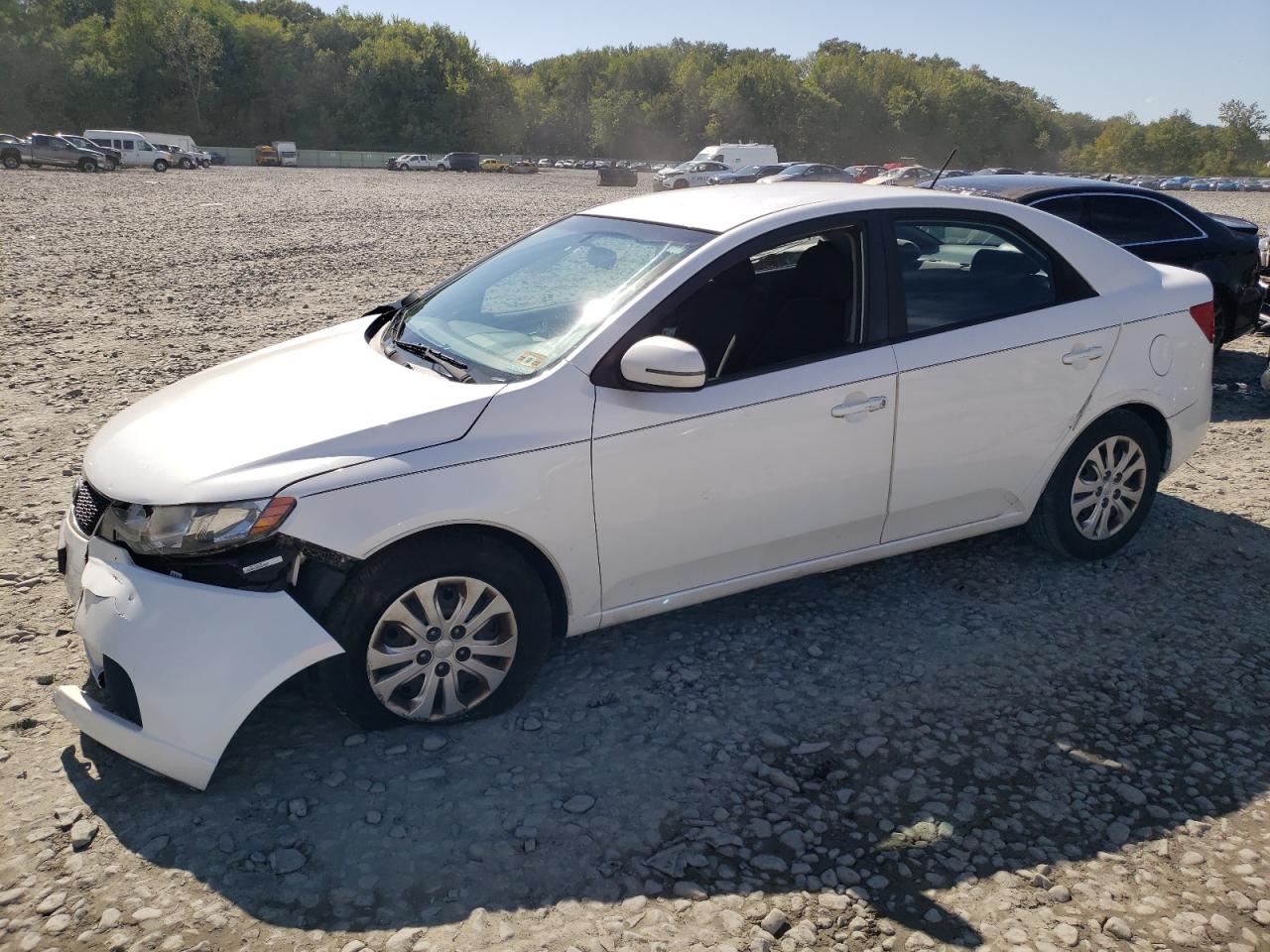 2013 KIA FORTE EX 2013 image