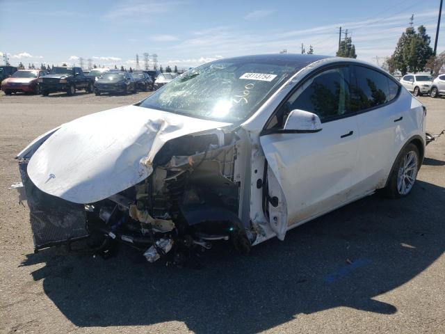 Obraz 2023 TESLA MODEL Y  2023