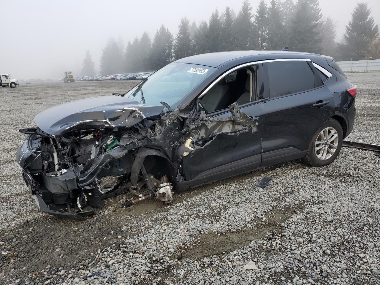 2020 FORD ESCAPE SE 2020 image