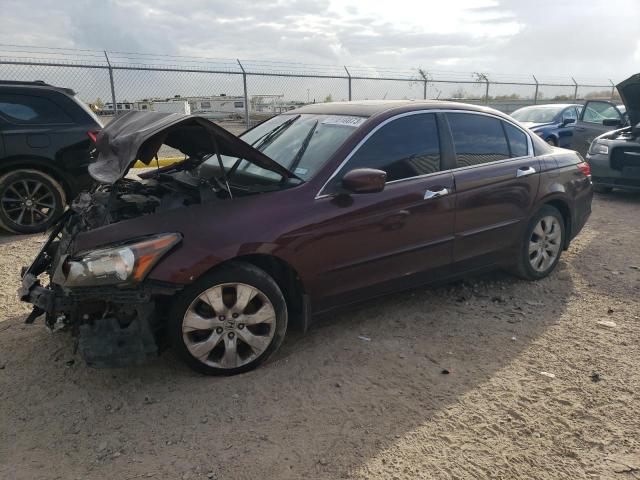 Изображение 1 2010 HONDA ACCORD EXL 2010 с VIN 5KBCP3F88AB018418