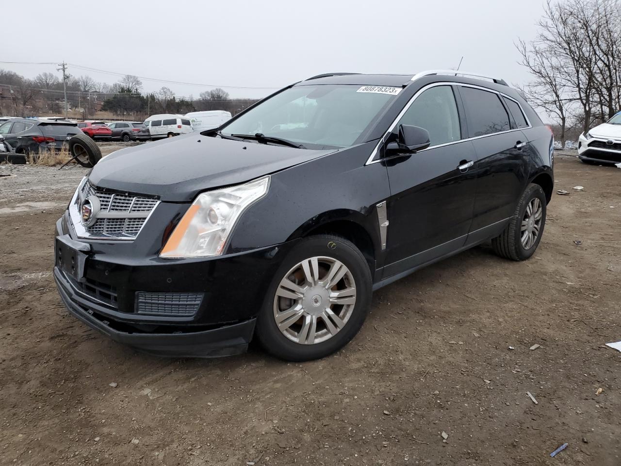 Obraz 2011 CADILLAC SRX LUXURY COLLECTION 2011
