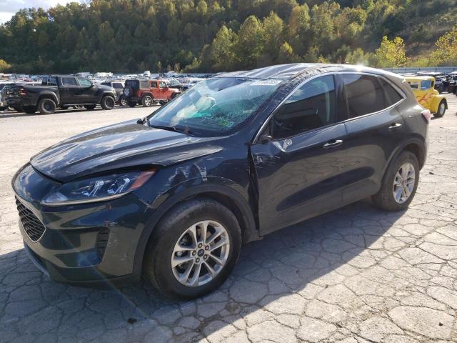 Изображение 2022 FORD ESCAPE SE 2022