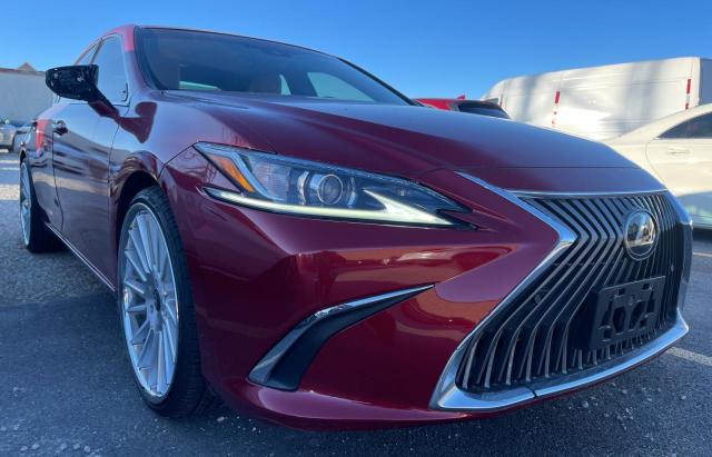 Изображение 2019 LEXUS ES 350 2019